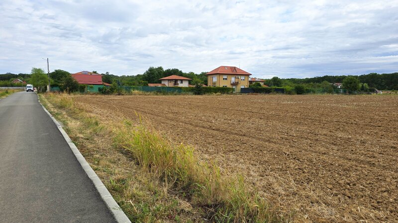 Snagov, The Forest Collection, 500 mp, zona exclusivista, padurea Snagov, Ciofliceni